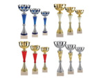 Lot de 12 coupes 2023 h moy 34,6cm