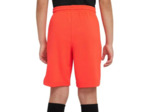 Short park knit iii junior