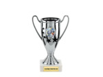 Lot de 12 coupes en argent bol abs h.16cm