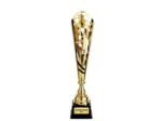 Coupe discipline or h 48 cm