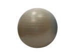 Gymball/balle gymnique 55cm