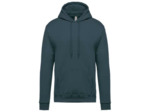 Sweatshirt capuche homme