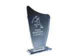 Trophee plexi epaiss 10mm h. 25 cm