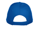Texas bull cap