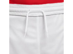 Short park knit iii junior