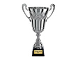 Coupe prestige arg h 49 cm d 200 mm