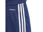 SHORT SQUADRA 25