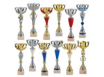 Lot de 12 coupes 2023 h moy 36,8cm