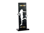 Trophee acrylique personnalisable n