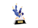 Trophee acrylique personnalisable j