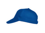 Texas bull cap