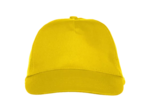 Texas bull cap