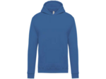 Sweatshirt capuche junior