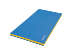 TAPIS DE GYMNASTIQUE EPS CLASSIQUE 200 x 100 x 3 CM