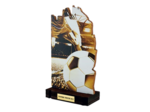 Trophee bois football h 22 cm