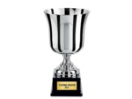 Coupe class arg h 31 cm d 180 mm