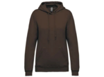 Sweatshirt capuche femme