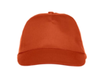 Texas bull cap