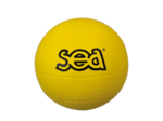 Ballon multisport