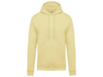 Sweatshirt capuche homme