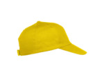 Texas bull cap