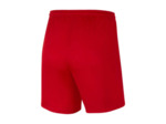WOMEN'S NIKE DRI-FIT PARK III SHORT