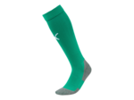 Chaussettes liga core