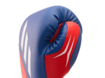 Gant De Boxe