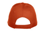 Texas bull cap