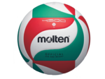 BALLON VOLLEY VM 4500