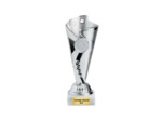 Coupe economique argent hauteur 17,