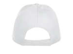 Texas bull cap