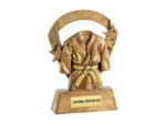 Trophee resine kimono or h.16 cm