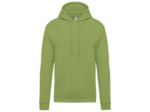Sweatshirt capuche homme