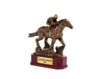 Trophee resine discipline bronze eq