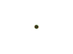 Rosette merite agricole-officier