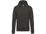 Sweatshirt capuche junior