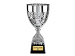 Coupe class arg h 38 cm d 180 mm