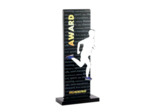 Trophee acrylique personnalisable n