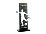 Trophee acrylique personnalisable n