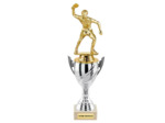 Trophee + sujet 27cm