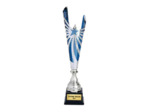 Coupe classique argent/bleu(e) haut
