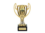 Lot de 12 coupes en or bol abs h.18cm