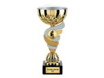 Coupe eco or/arg h 21 cm d 100 mm