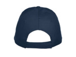 Texas bull cap