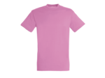 T-shirt regent junior