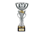Coupe argent h.30cm bol diam140mm