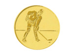 Pb 53 hockey glace alu 25mm