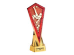 Petit trophee plastique monte or/ro