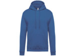 Sweatshirt capuche homme